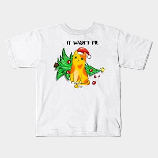 It Wasn't Me Funny Cat Kids T-Shirt